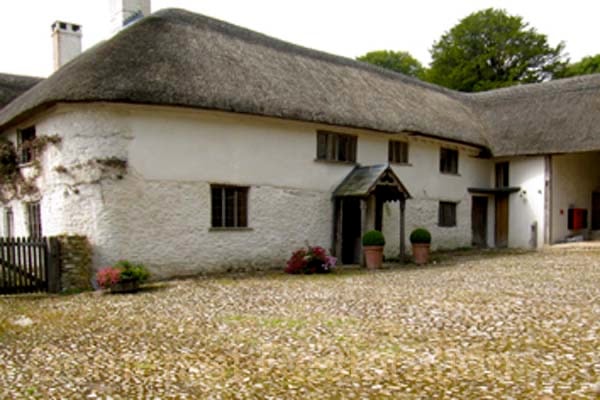 Traditional thatched cottage with white walls — masonry and pointing restoration